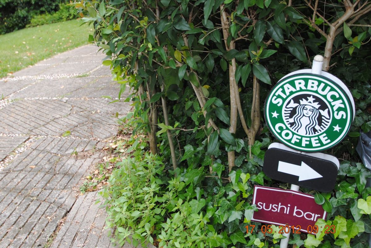 imagini hotel CORFU HOLIDAY PALACE